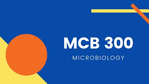 Thumbnail for entry MCB 300 - Microbiology