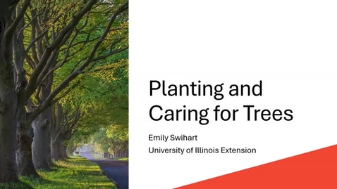 Thumbnail for Tree Care Series 2026: After Planting and Tree Responses