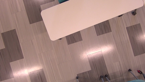 Thumbnail for ME 590/TAM 500 Seminar Fall 2025