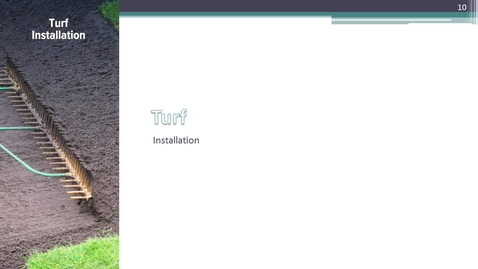 Thumbnail for Lawns 3