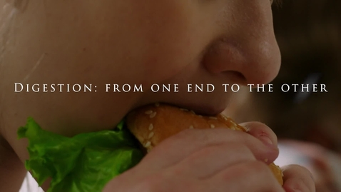 Thumbnail for 4. Digestion - from one end to the other
