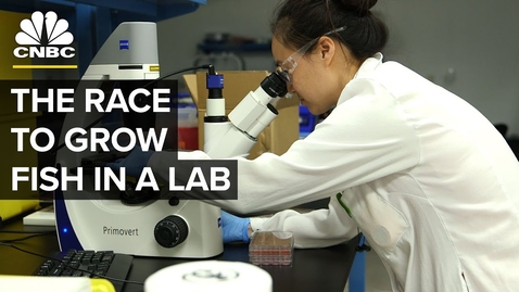 Thumbnail for Cultured Meat: Will Lab Grown Fish Save Oceans?