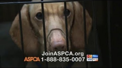 Thumbnail for ASPCA TV Commercial, ‘Somewhere in America’