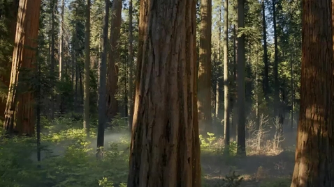 Thumbnail for September Web Con Workshop: &quot;Simple SEO: Five Building Blocks To Get You Started&quot;