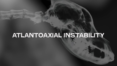 Thumbnail for Atlantoaxial Instability