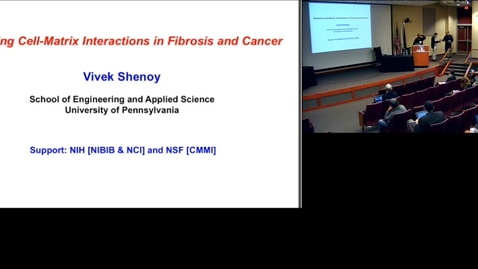 Thumbnail for Cell-Matrix interactions in fibrosis and cancer: multiscale mechano-chemical models