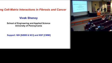 Thumbnail for entry Cell-Matrix interactions in fibrosis and cancer: multiscale mechano-chemical models