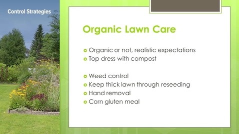 Thumbnail for organic 4