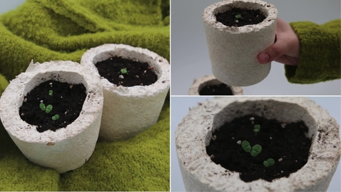 Thumbnail for MySeedling Pot Vlog