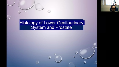 Thumbnail for GU Histology lecture given by Dr. George Liu