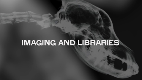 Thumbnail for Imaging and Libraries