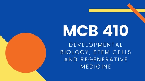 Thumbnail for entry MCB 410 - Developmental Biology, Stem Cells and Regenerative Medicine