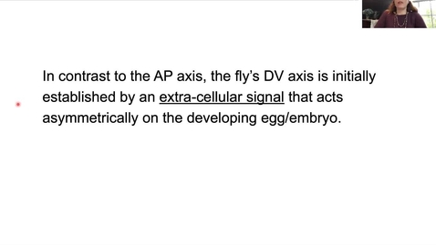 Thumbnail for Module32D