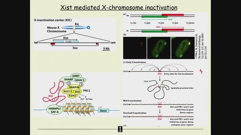 Thumbnail for MCB 252: Cells, Tissues, and Development