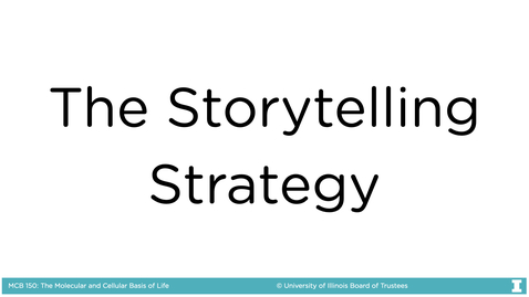Thumbnail for entry The Storytelling Strategy