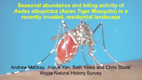 Thumbnail for entry Seasonal abundance and biting activity of Aedes albopictus in a recently invaded, residential landscape - Andrew Mackay, Jiayue Yan, Seth Yates and Chris Stone, Illinois Natural History Survey