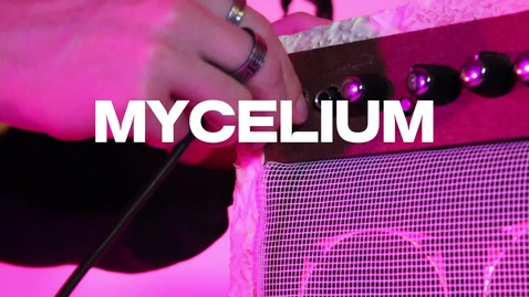 Thumbnail for Mycelium Amplifier