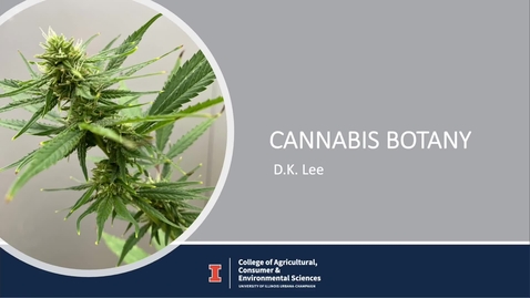 Thumbnail for entry Cannabis Botany