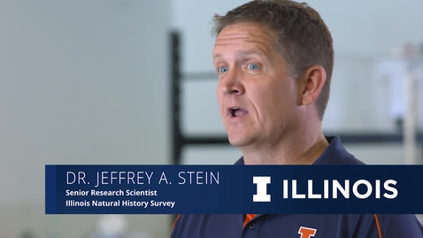 Thumbnail for The Illinois Professional: Jeffrey Stein