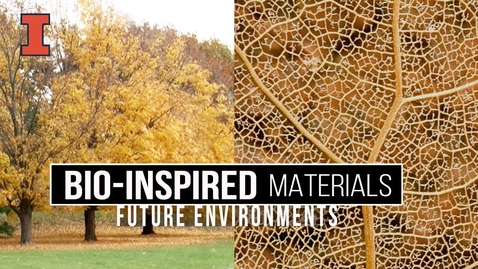 Thumbnail for entry Future Environments: Bio-Inspired Materials