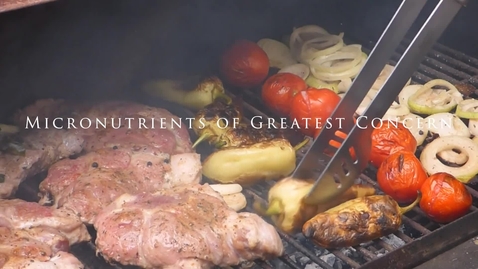 Thumbnail for 10. Micronutrients of greatest concern and bioavailability