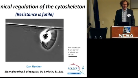 Thumbnail for Mechanical Regulation of the Cytoskeleton