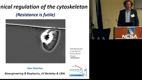 Thumbnail for entry Mechanical Regulation of the Cytoskeleton