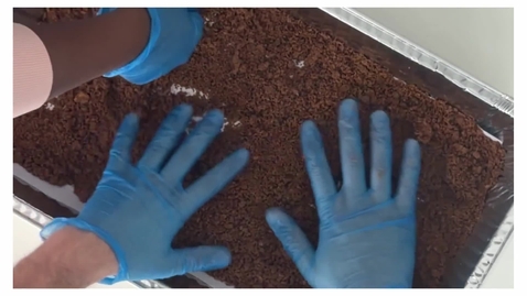 Thumbnail for Veil_2026