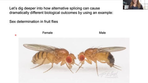 Thumbnail for Module38B