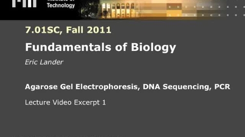 Thumbnail for Agarose Gel Electrophoresis, DNA Sequencing, PCR, Excerpt 1 ｜ MIT 7.01SC Fundamentals of Biology [YnF1b_Kqf88].mp4