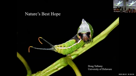 Thumbnail for NRES Seminars - Dr. Doug Tallamy - Nature's Best hope!