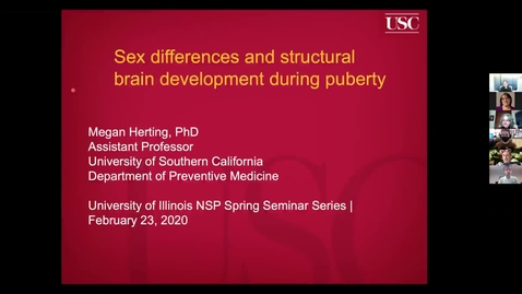 Thumbnail for NEUR 520, SEM - Meghan M. Herting, University of Southern California - 2/23/21