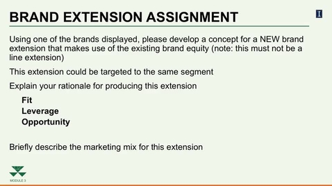 Thumbnail for Brand Extension Assignment