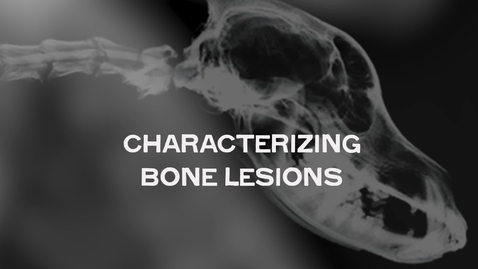Thumbnail for Characterizing Bone Lesions