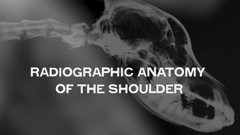Thumbnail for Radiographic Anatomy of the Shoulder