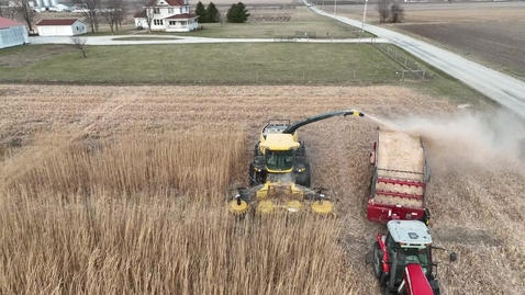 Thumbnail for Miscanthus Harvest March 2023