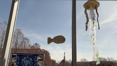 Thumbnail for JelliesNFish_2026