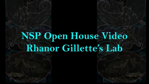 Thumbnail for Rhanor Lab Video_NSP Open House 2021