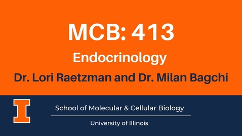 Thumbnail for entry MCB 413: Endocrinology Advanced Course Interview