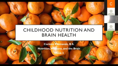 Thumbnail for Childhood Nutrition - Part 3 of the Nutrition, Wellness, and the Brain Series