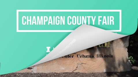 Thumbnail for 4-H Champaign Fair - 2019