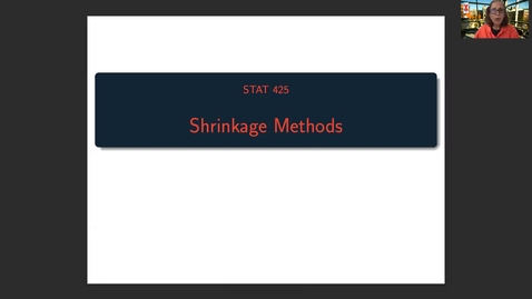 Thumbnail for STAT425: Shrinkage Methods (1 of 2)