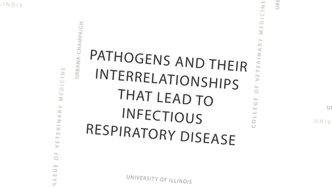 Thumbnail for Pathogens and Their Interrelationships that Lead to Infectious Respiratory Disease