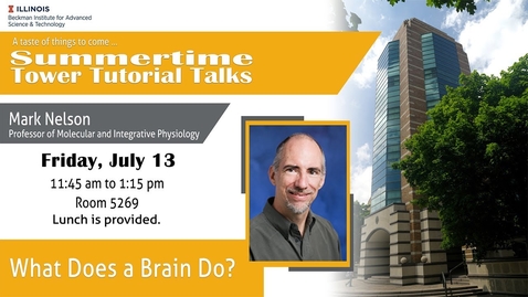 Thumbnail for &quot;What Does a Brain Do?&quot; - Mark Nelson (Tower Talk)