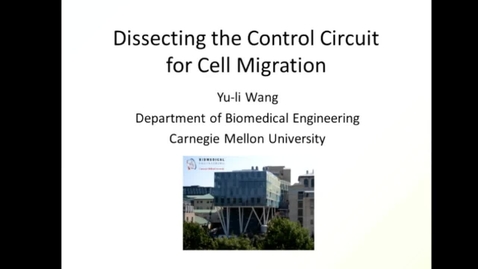 Thumbnail for Dissecting the control circuit for cell migration