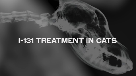 Thumbnail for I-131 Treatment in Cats