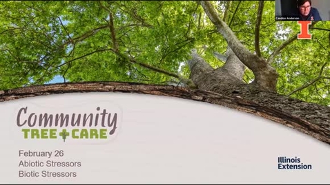 Thumbnail for Tree Care Series 2025: Abiotic Stressors and Biotic Stressors