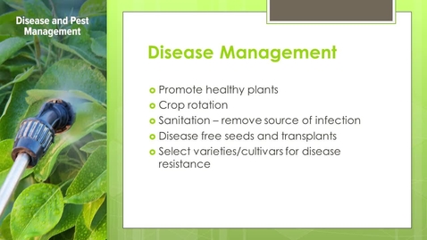 Thumbnail for organic 5