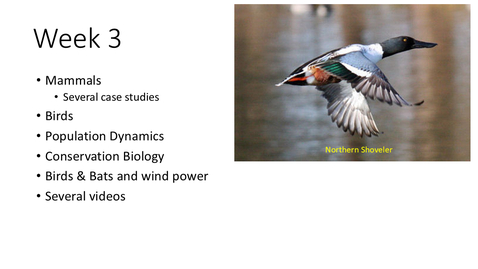 Thumbnail for NRES 101 - Week 3 - Mammal Conservation