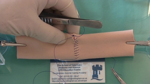 Thumbnail for Steps to perform an end to end bowel anastomosis using continuous suture